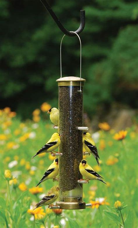 Attracting Birds To Your Garden Bird Feeders Finch Feeders Bird