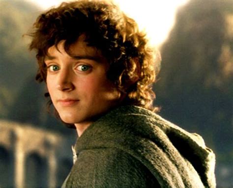 Frodo Baggins Incredible Characters Wiki