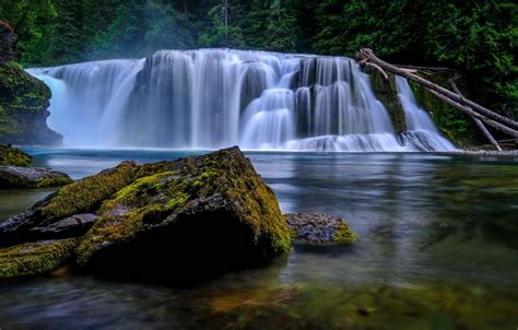 Wallpaper Forest Trees River Stones Waterfall Moss Washington