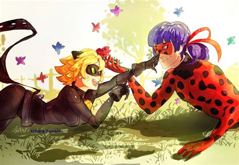 Pin by Elly abdull on Miraculous ladybug and chat noir | Ladybug art, Ladybug, Miraculous ladybug