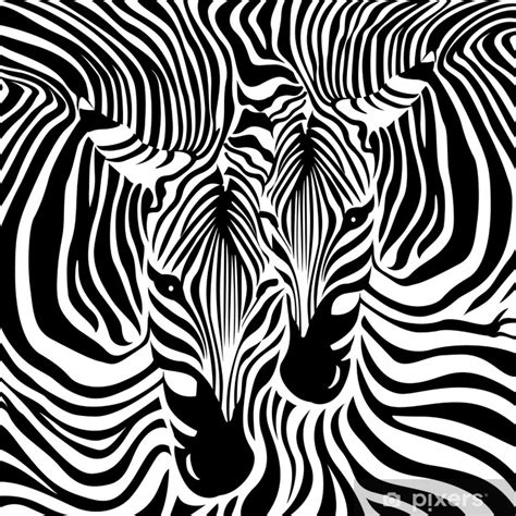 Poster Zebra Couple Background Black And White Vector Illustration