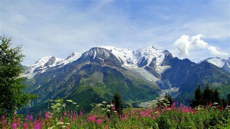 Download Wallpaper 1920x1080 Mountains Alps Flowers Tops Freshness