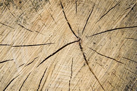 Otfchoppedwood02 16 High Resolution Chopped Wood Textur Flickr
