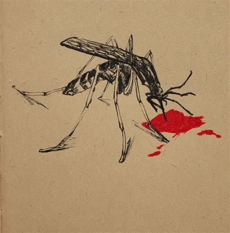Drawing Of Mosquito Drawings Illustration Art