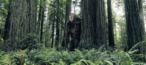 Things To Know About Big Foot