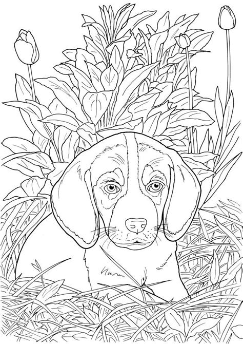 Welcome To Dover Publications Dog Coloring Page Dog Coloring Book