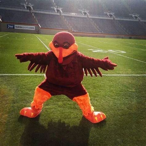 An Eagle Mascot Standing On Top Of A Field In Front Of A Stadium Filled