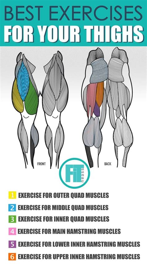 Upper Body Parts Muscles