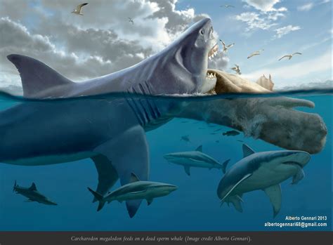 An Artists Rendering Of A Shark Attacking A Man In The Water With
