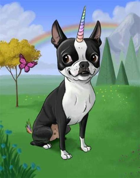 Pin By Deb On Boston Terriers