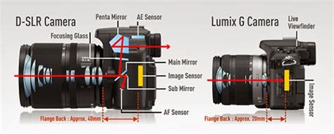 Ten years ago, mirrorless cameras started rolling out one after the other from renowned brands including leica, olympus, fujifilm, pentax, and panasonic. DSLR camera versus DSLM camera ~ Smart Tech Review