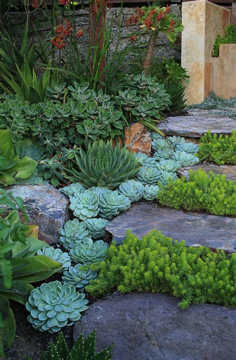 50 Best Succulent Garden Ideas For 2022