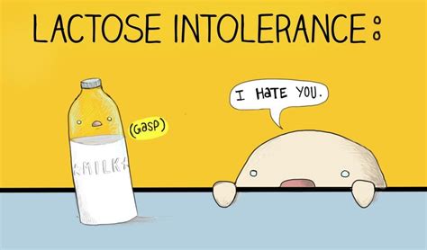 Symptoms Of Lactose Intolerance And Treatment Ostomy Lifestyle