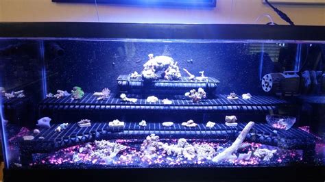 It's time to build my own custom diy frag aquarium tank for coral. SOLD 40g Drilled Breeder frag tank with 40g sump and stand - Hardware - Austin Reef Club