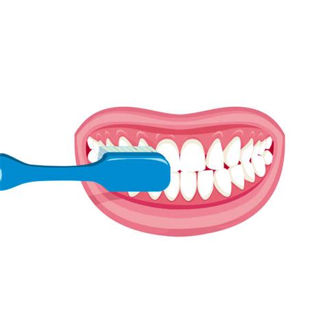 Brushing Teeth Illustrations Royalty Free Vector Graphics And Clip Art Istock