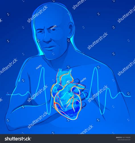 Human Heart Vector Stock Vector Royalty Free 1021799509 Shutterstock