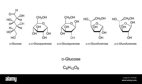 Glucose Monosaccharide Chemical Structure Simple Sugar Natta