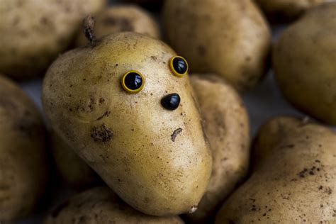 Most Potatoes Suffer Depression