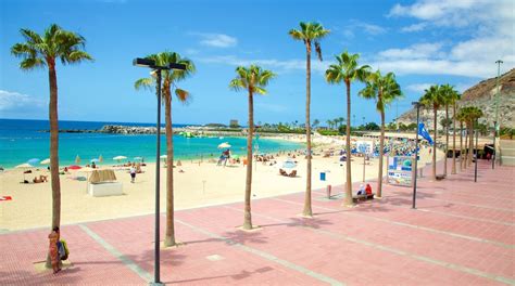 Reisetipps Las Palmas De Gran Canaria 2024 Das Beste In Las Palmas De