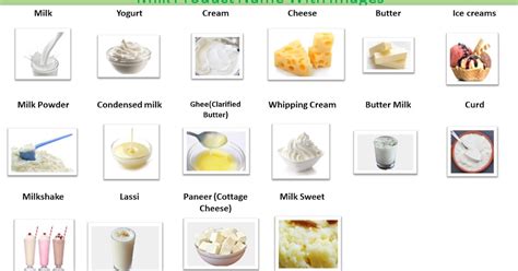 16 Types Of Healthy Food Dairy Products Name Images Kids Classes