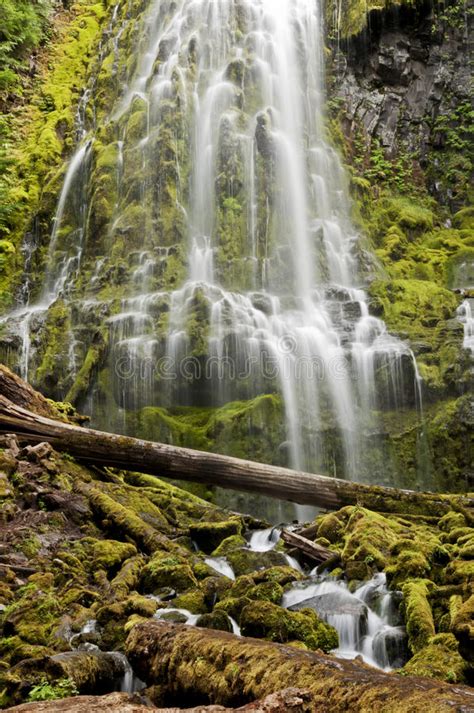 Cascading Waterfall Over Brilliant Green Mossy Rocks Stock Photo