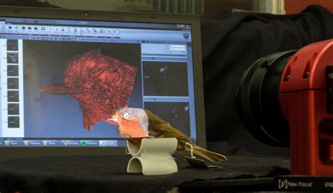 New Nature Study Bird Lovers Help Scientists Discover Secrets Of Beak