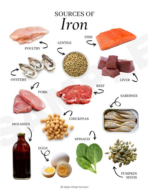 Sources Of Iron Handout — Functional Health Research Resources — Made