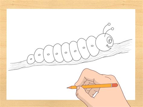 Easy Drawing Of Caterpillar