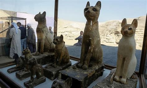 Mummified Lion And Dozens Of Cats Among Rare Finds In