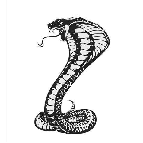Snakes Drawing King cobra Cobras - tattoo snake png download - 700*700 - Free Transparent Snakes ...
