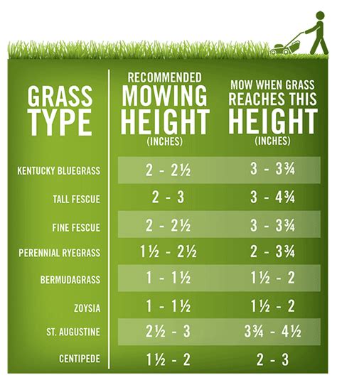 Lawn Mowing Height Chart Mowing Aerate Lawn Lawn Care Tips