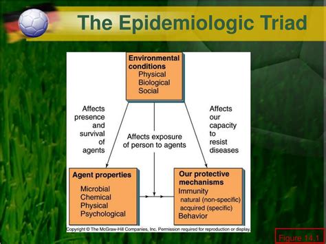 PPT - Chapter 14 Patterns in Health and Disease: Epidemiology and