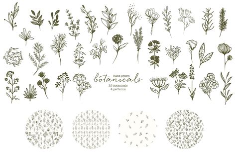 Sketch Botanical Hand Drawn Flowers Clipart Sage Green Neutral Etsy