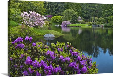 Maine Northeast Harbor View Of Asticou Azalea Gardens Wall Art