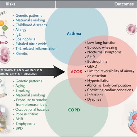 Risk Factors For Asthma And Copd And The Influence Of