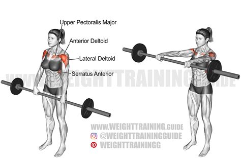 Barbell Front Raise Exercise Instructions And Video Weighttraining
