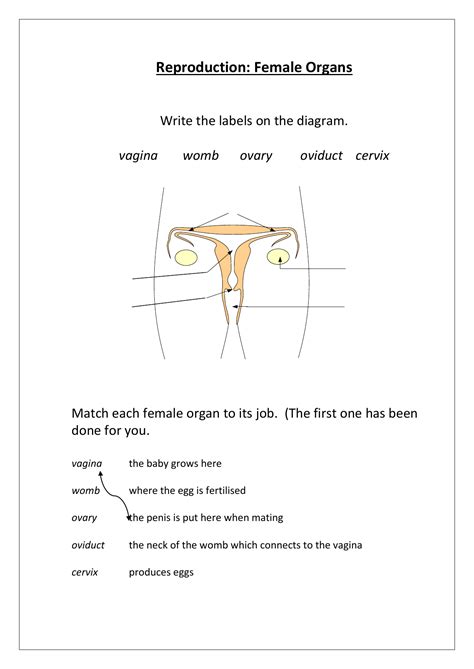 Feedback is immediate and opportunities for correction are endless. Simple male and female systems
