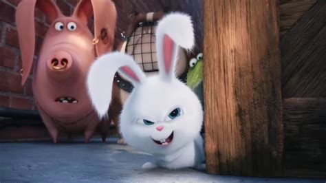 The Secret Life Of Pets Snowball Memorable Moments Youtube