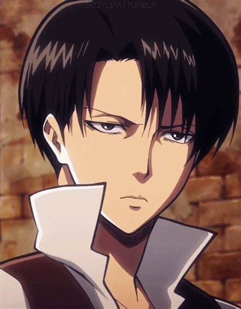 Pinterest | Levi ackerman, Attack on titan levi, Captain levi