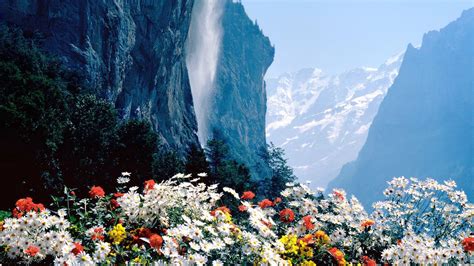Download Wallpaper 1920x1080 Flowers Mountains Cliff Full Hd 1080p Hd