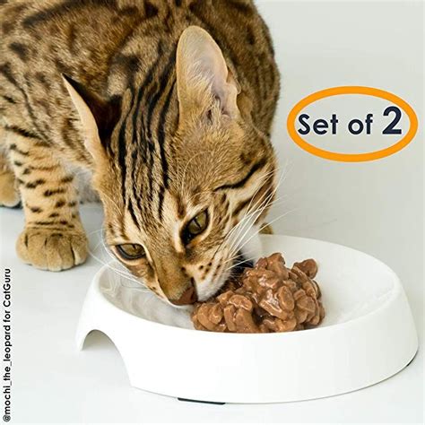 Who should buy a cat bowl. Amazon.com : CatGuru Cat Food Bowl, Whisker Stress Free ...