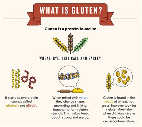 So What Exactly Is Gluten Bonvie