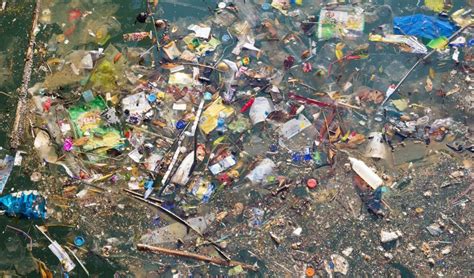 The Great Pacific Garbage Patch Is Now Twice As Big As Texas