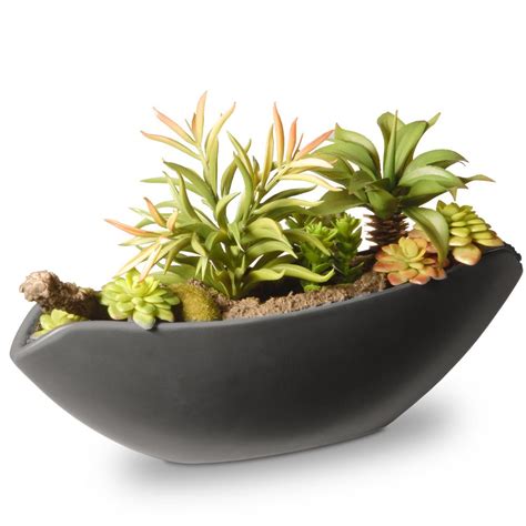 Cactus & succulent lovers for sharing all your interesting photos. National Tree Company 8.6 in. Succulent in Ceramic Pot-RAS ...