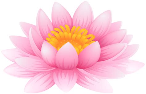 Water Lily Png Clip Art Image Lotus Flower Wallpaper Flowers Flower