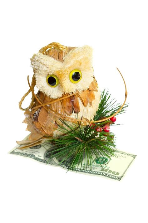 Owl Holding Money Stock Image Image Of Isolated Currency 33584659