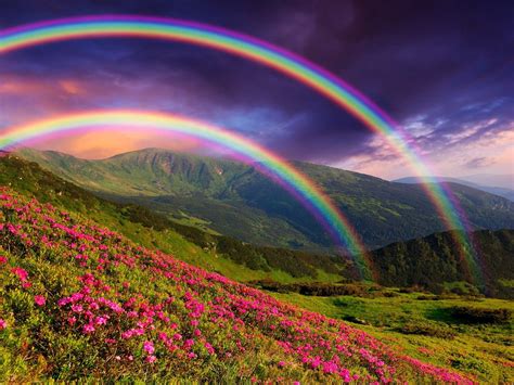 🔥 Download Rainbow Sky Wallpaper Top Background By Maryg95 Natural