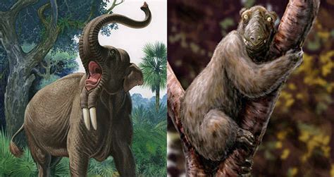 35 Extinct Animals That Should Be Cloned Back Into Existence