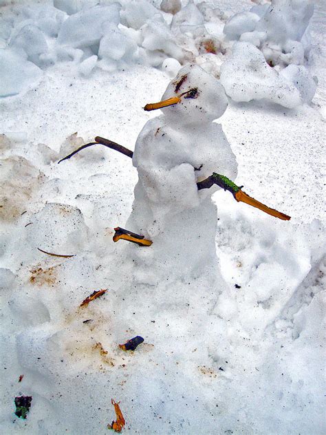 Real Snowman Photograph By Andy I Za Fine Art America