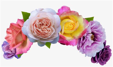 Crown Of Head - splash